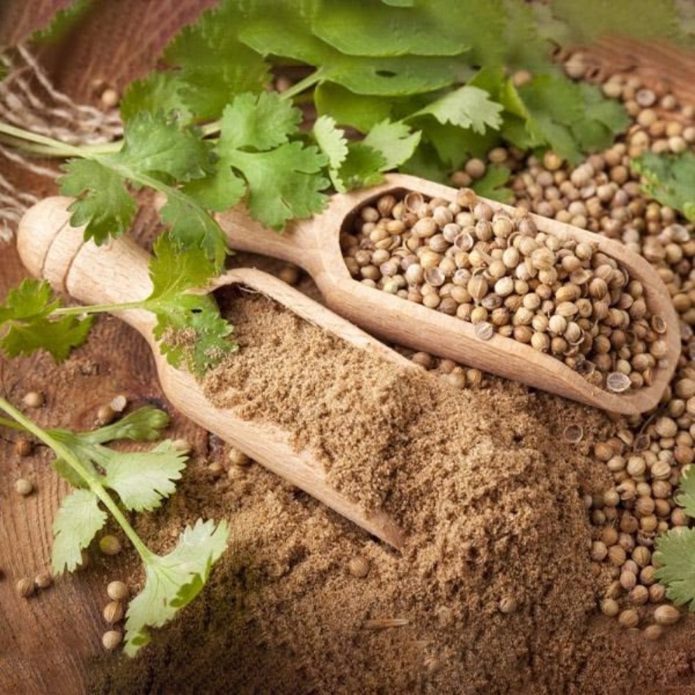 Coriander Powder - Vistara Vertex Global
